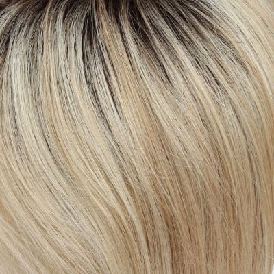 Tony of Beverly Arden Wig
