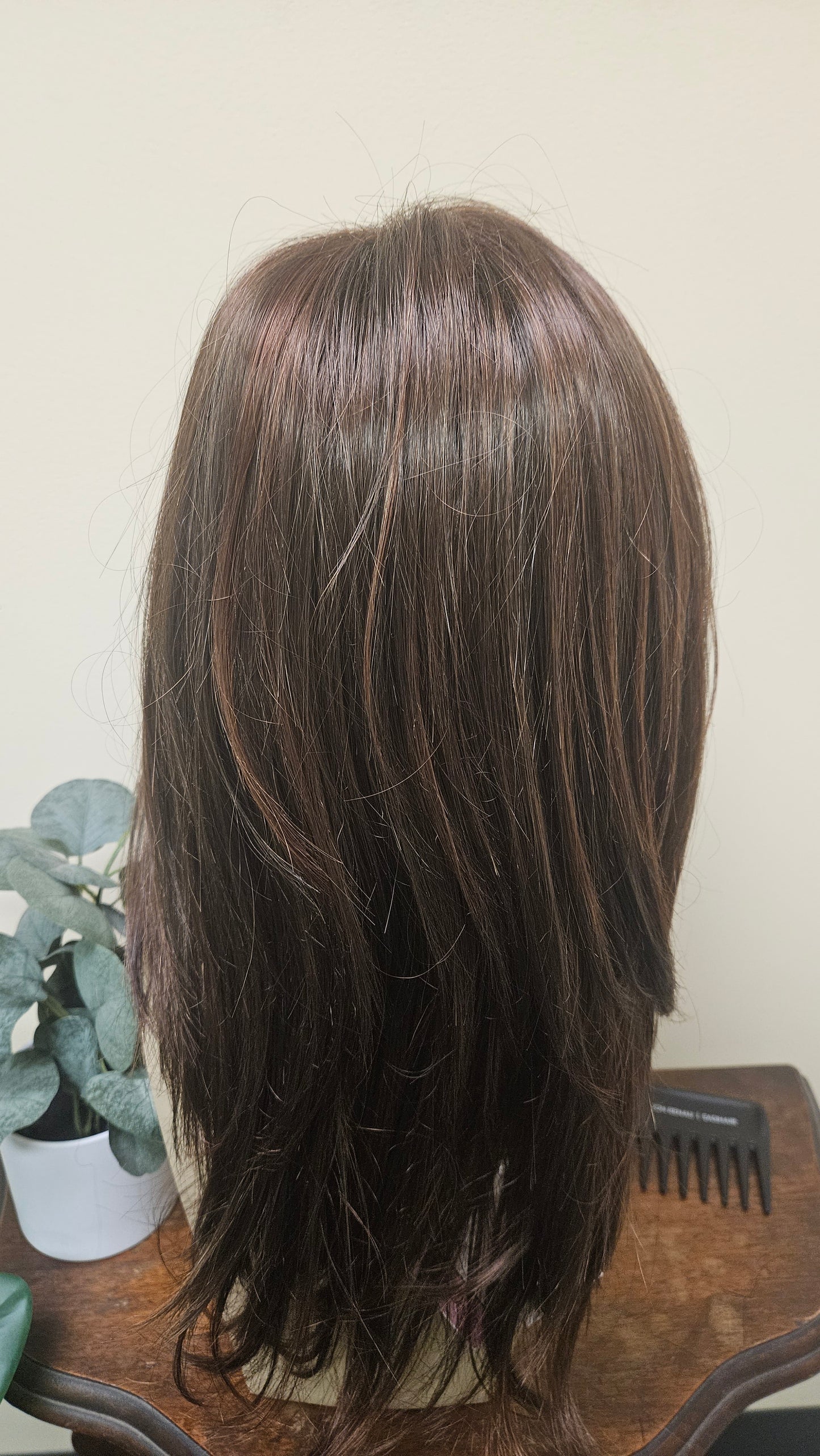 Jon Renau Angelique Large Wig