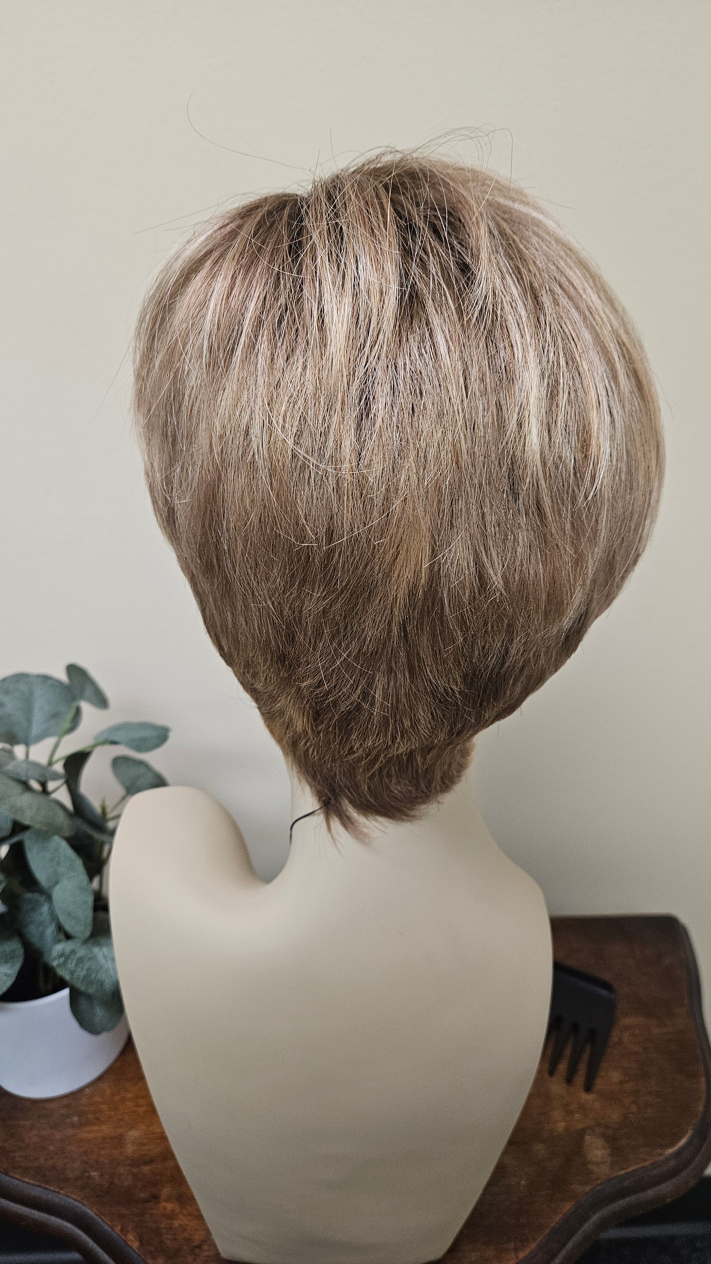 Tony of Beverly Arden Wig
