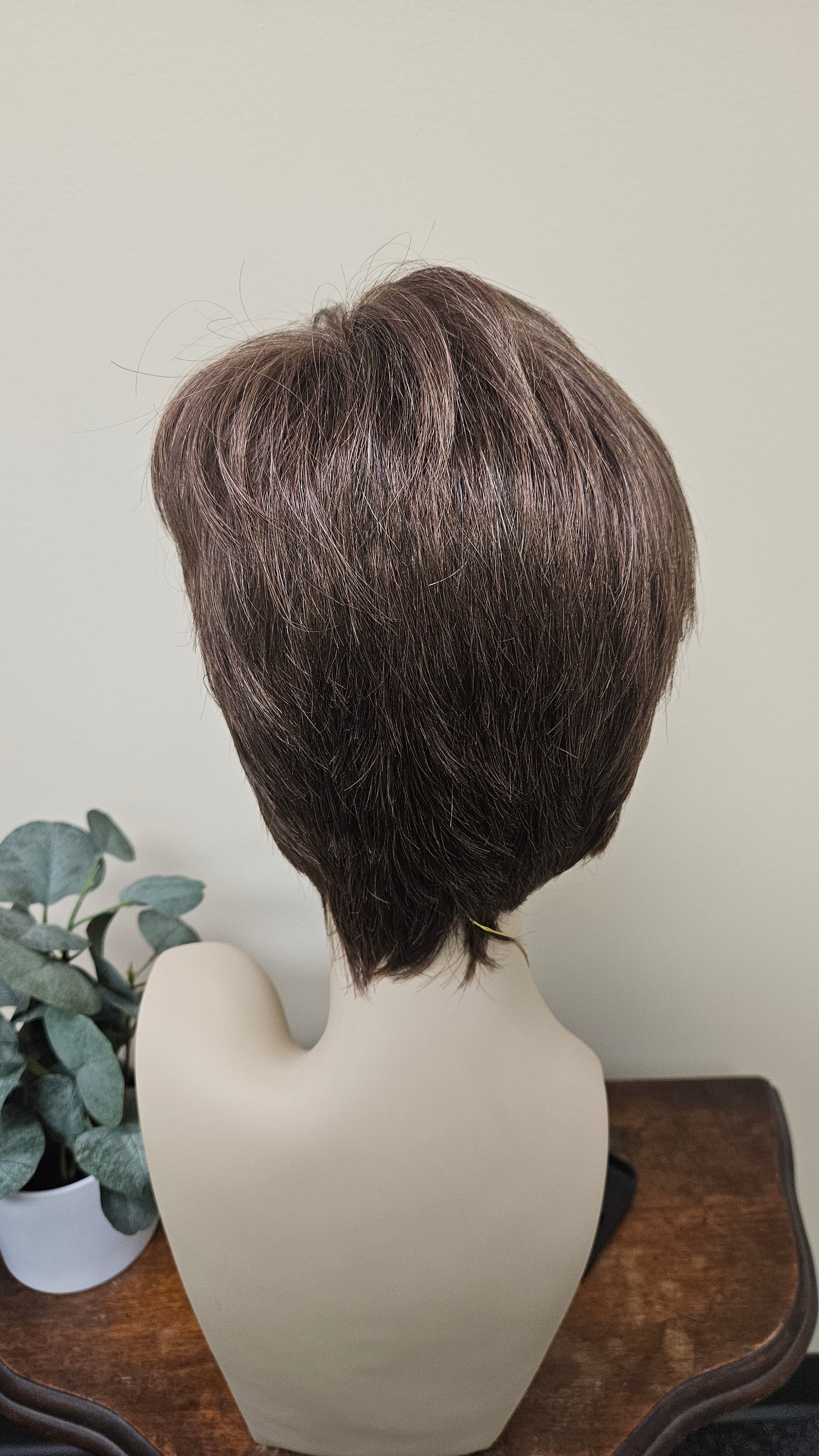 Tony of Beverly Arden Wig