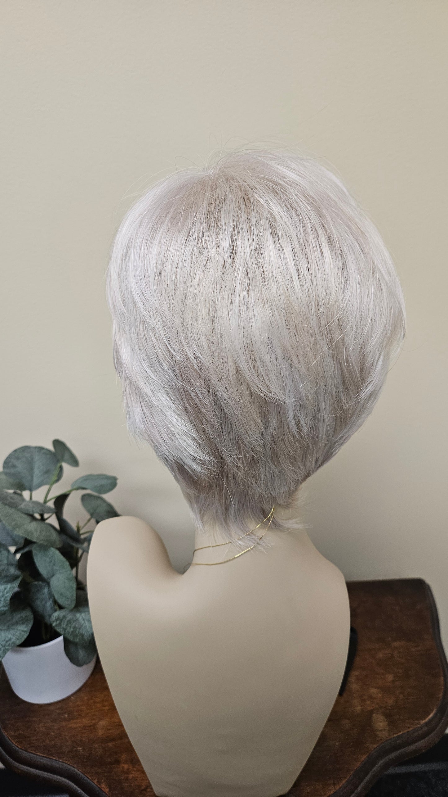 Tony of Beverly Arden Wig