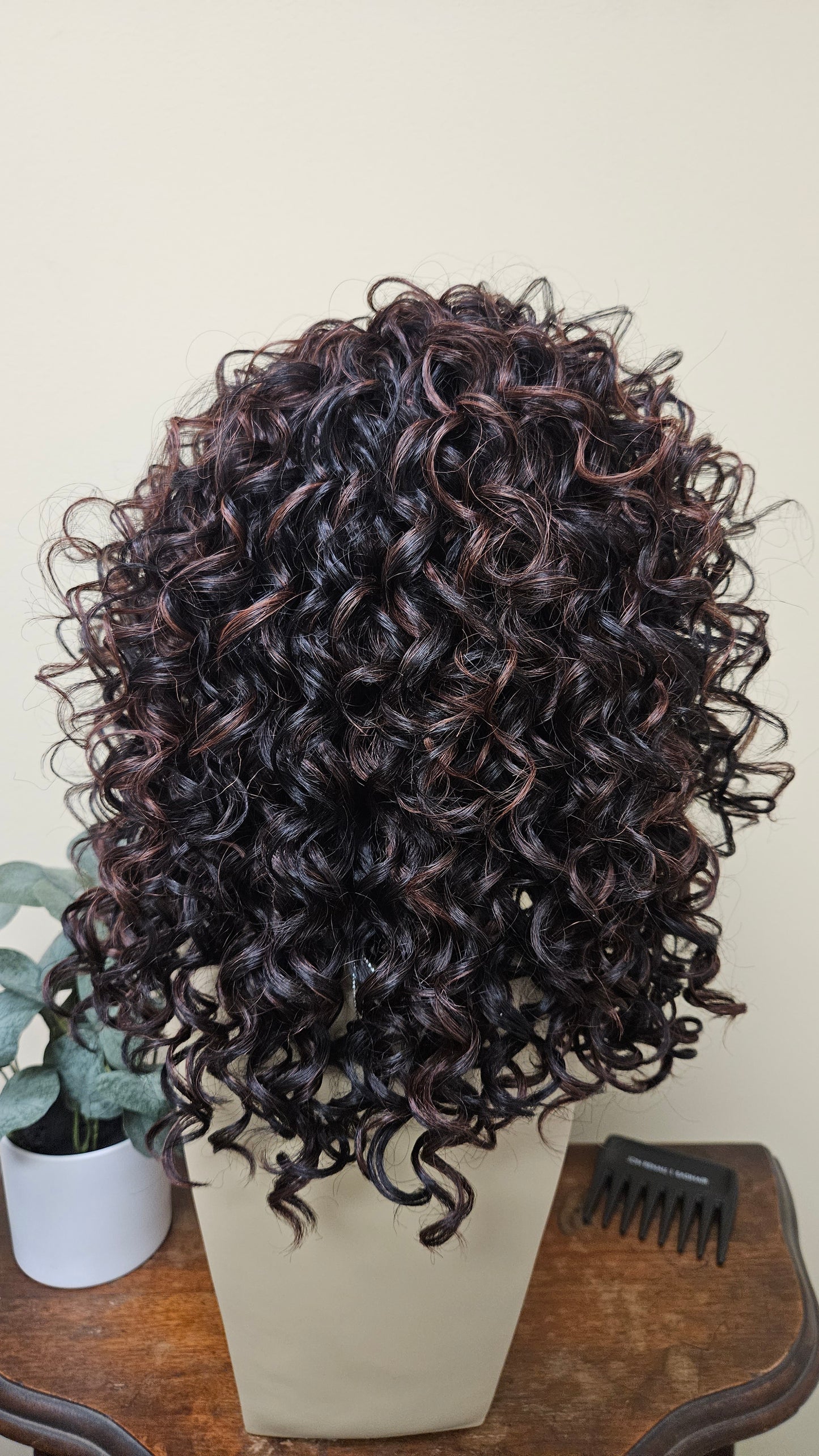 HairDo Sassy Curl Wig