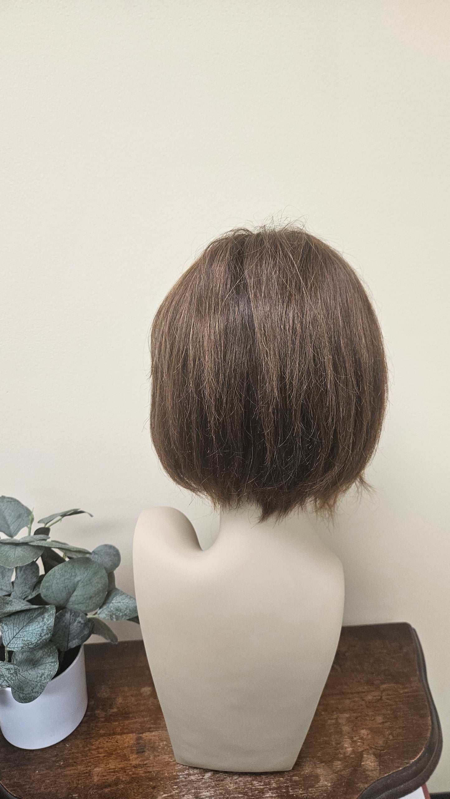 Jon Renau Ignite Human Hair Wig