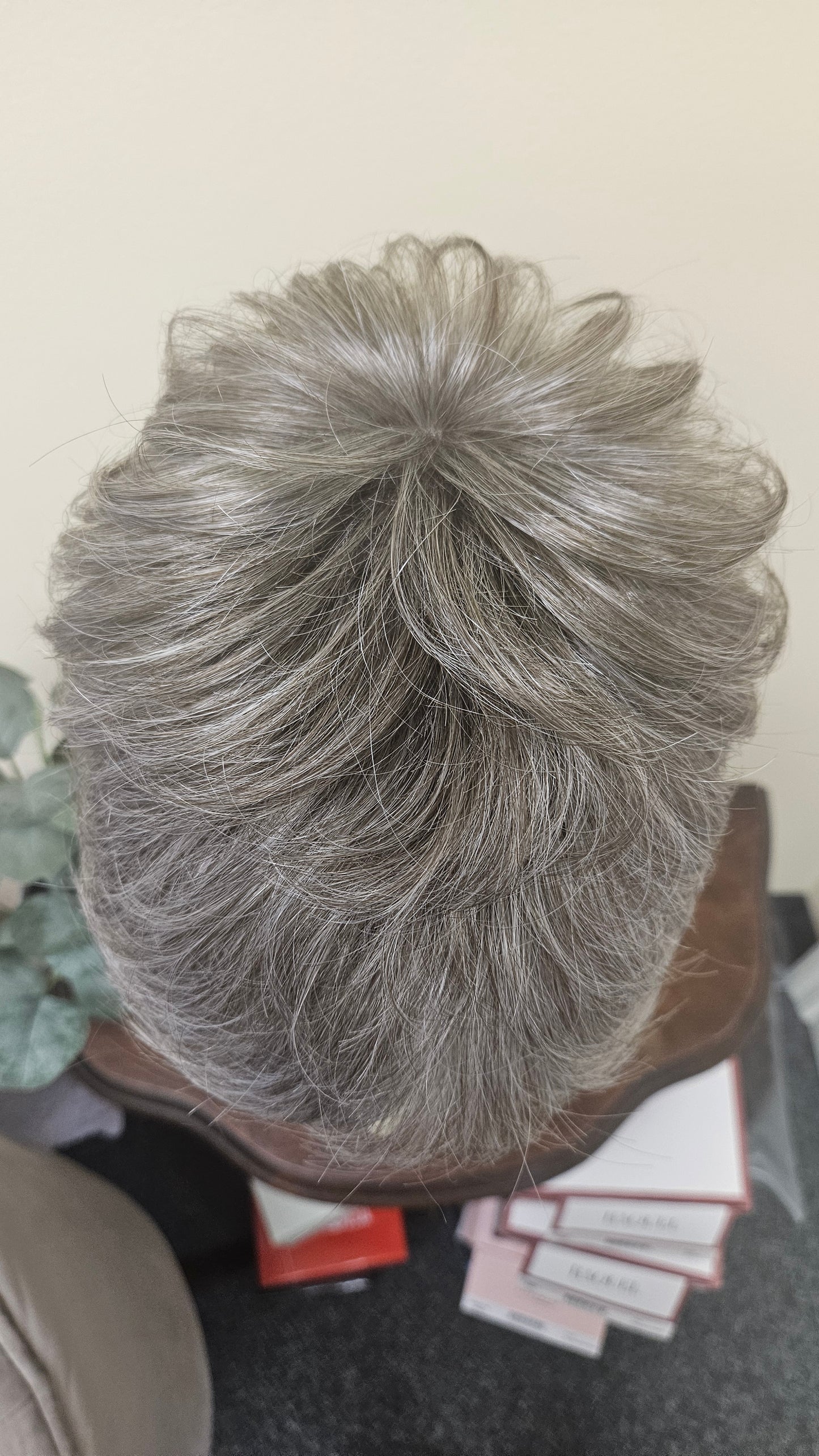 WINNER PREMIUM WIG BY RAQUEL WELCH